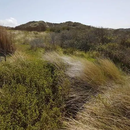 Marluis - Near Dunes And